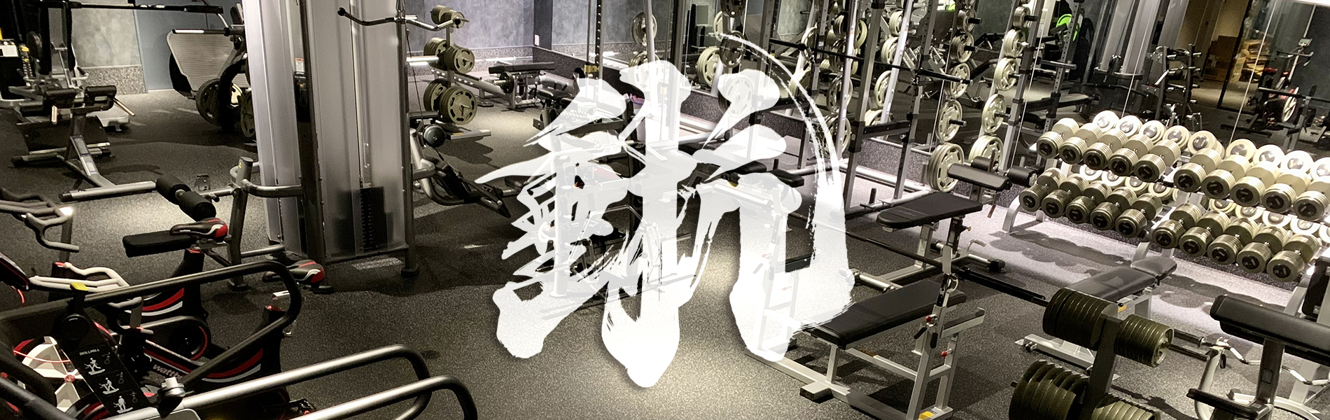 D Gra Training Gym D Gra Training Gym