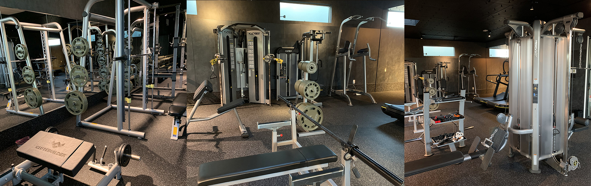 D Gra Training Gym D Gra Training Gym